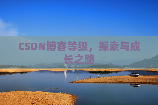 CSDN博客等级,探索与成长之路